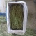 2024年精品烘干宠物苜蓿草有草杆纯苜蓿草叶子支持批发零