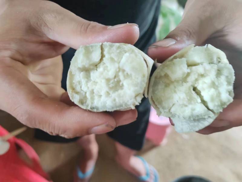 广东白皮白心牛奶人参薯，粉糯香甜，长期有货，有需要联系我