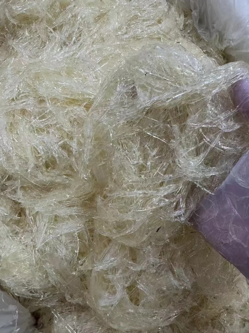 鱼翅/翅针