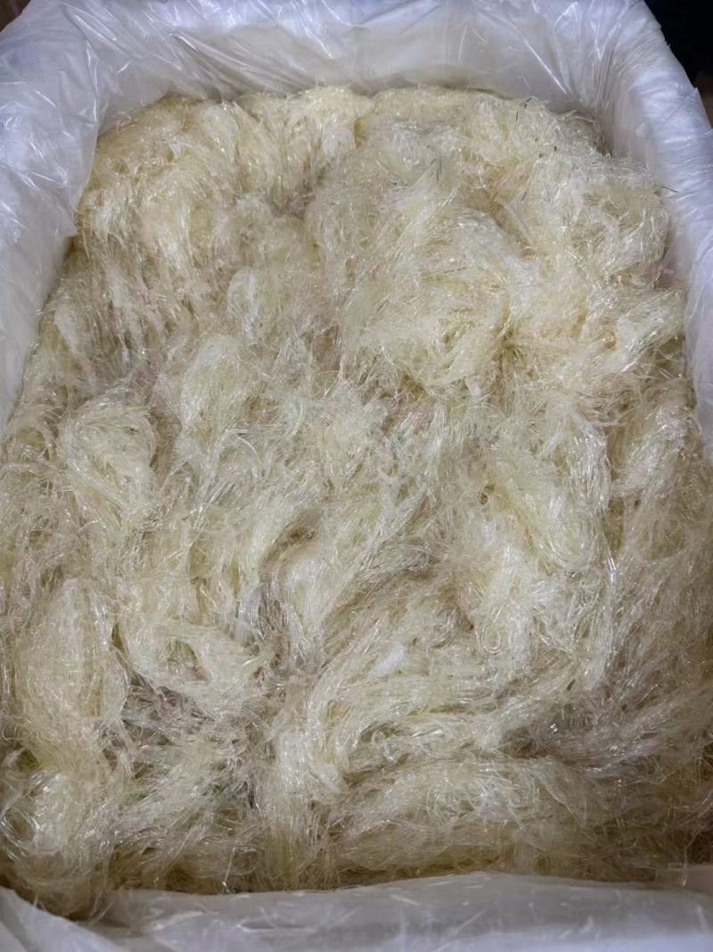 鱼翅/翅针