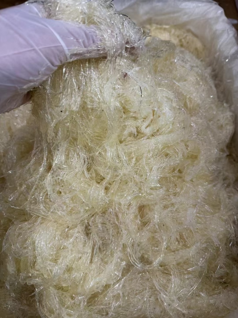 鱼翅/翅针