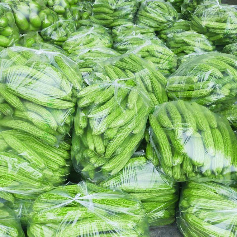 本地绿皮苦瓜大量上市质量好，可供电商超市，可视频看货