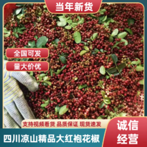 四川凉山精品大红袍花椒产地直发货源稳定品质好24年新货