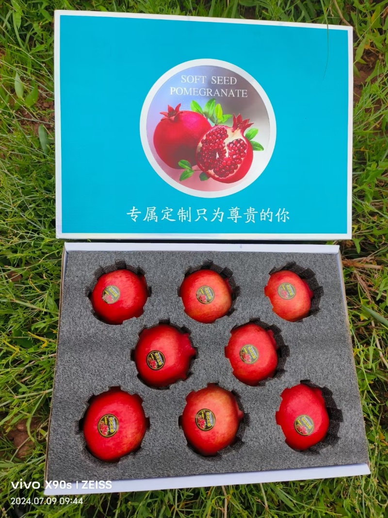 会理突尼斯软籽石榴开始发货了