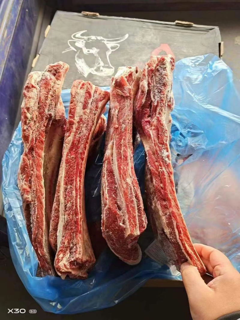 牛肋排（瘦度高，肉多）四肋五肋，可根据客户要求分割