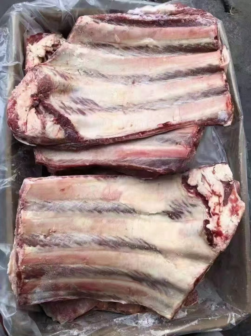 牛肋排（瘦度高，肉多）四肋五肋，可根据客户要求分割