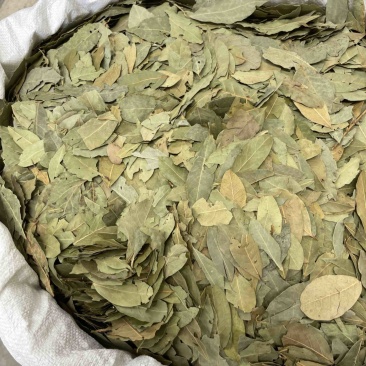 香叶批发价格优惠