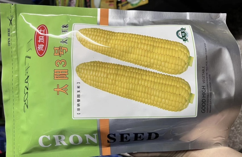 太阳3号，甜玉米种子，基地直供一手货源品质保证诚信经营