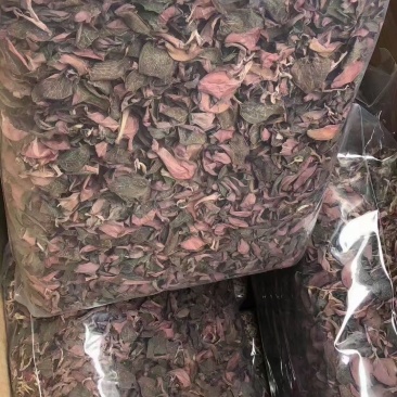 金线莲有碎金线莲无碎金线莲精品金线莲