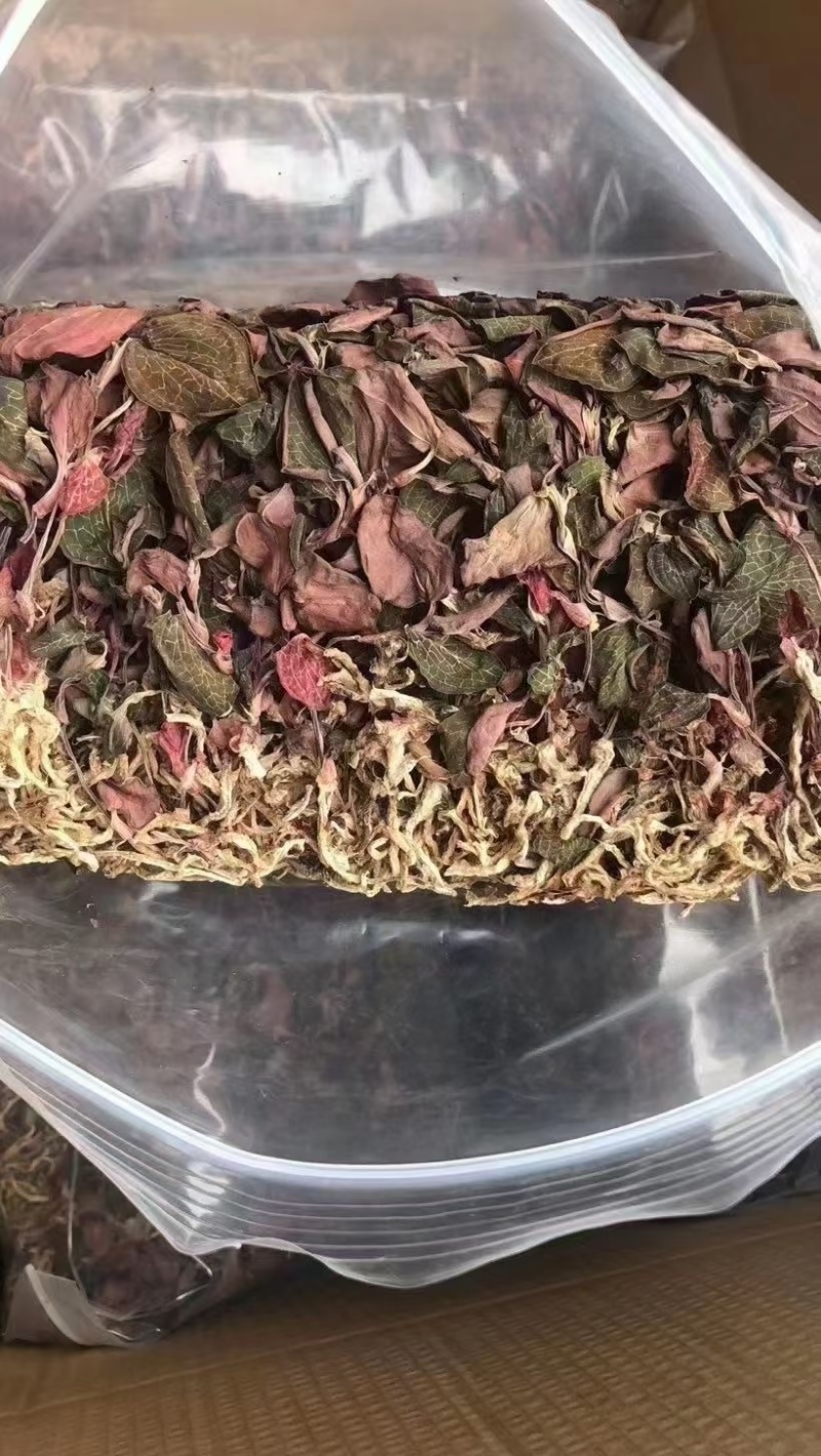 金线莲有碎金线莲无碎金线莲精品金线莲