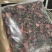金线莲有碎金线莲无碎金线莲精品金线莲