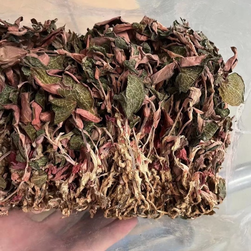 金线莲有碎金线莲无碎金线莲精品金线莲