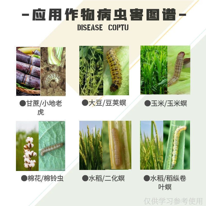 甲维氯虫苯甲酰胺甲维盐水稻专用杀虫剂稻纵卷叶螟虫农药正品
