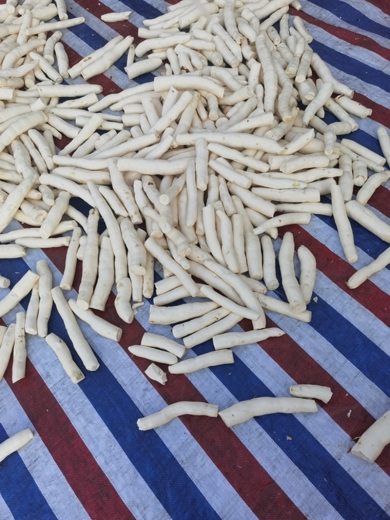 白肉水晶木薯