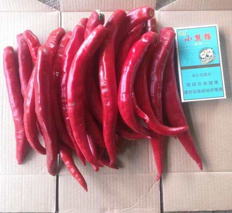 辣椒（线椒，杭椒，羊角红）