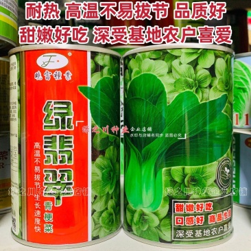 绿翡翠青梗菜种籽耐热小青菜种子抗高温高湿小油菜种子甜嫩