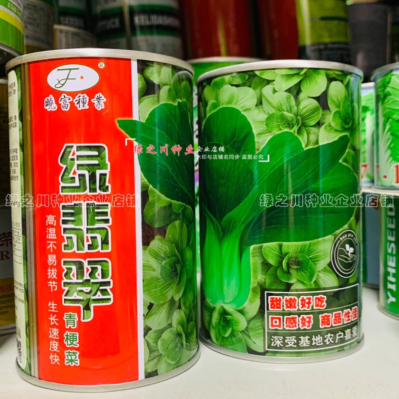 绿翡翠青梗菜种籽耐热小青菜种子抗高温高湿小油菜种子甜嫩