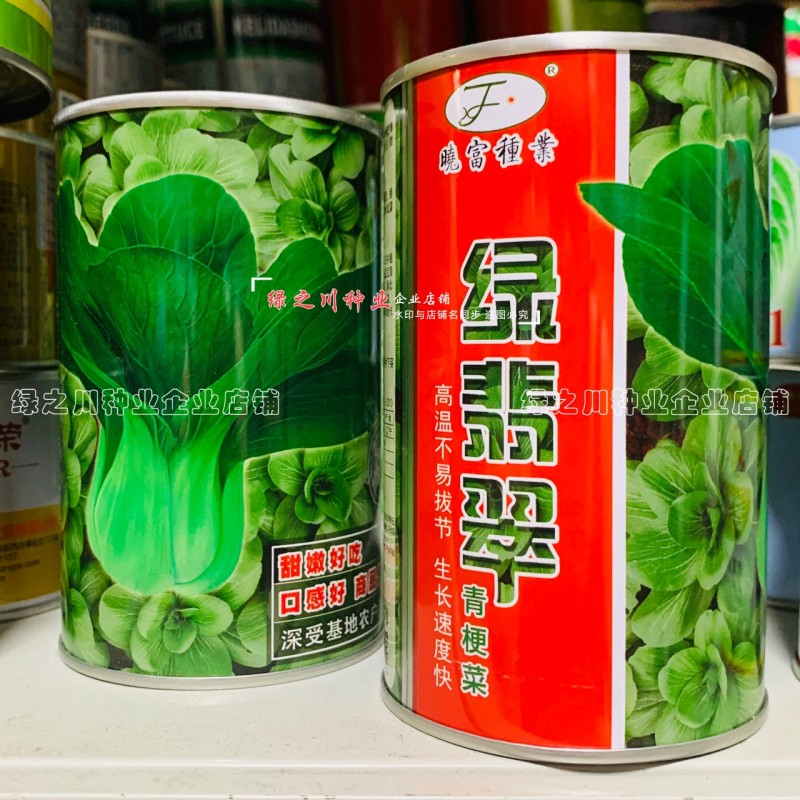 绿翡翠青梗菜种籽耐热小青菜种子抗高温高湿小油菜种子甜嫩