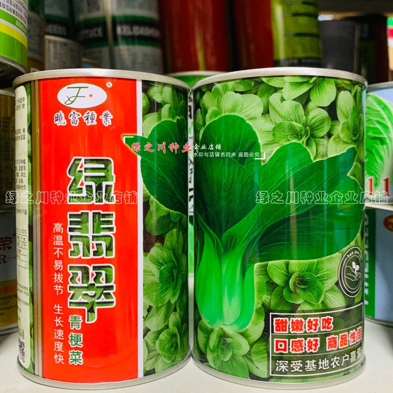 绿翡翠青梗菜种籽耐热小青菜种子抗高温高湿小油菜种子甜嫩
