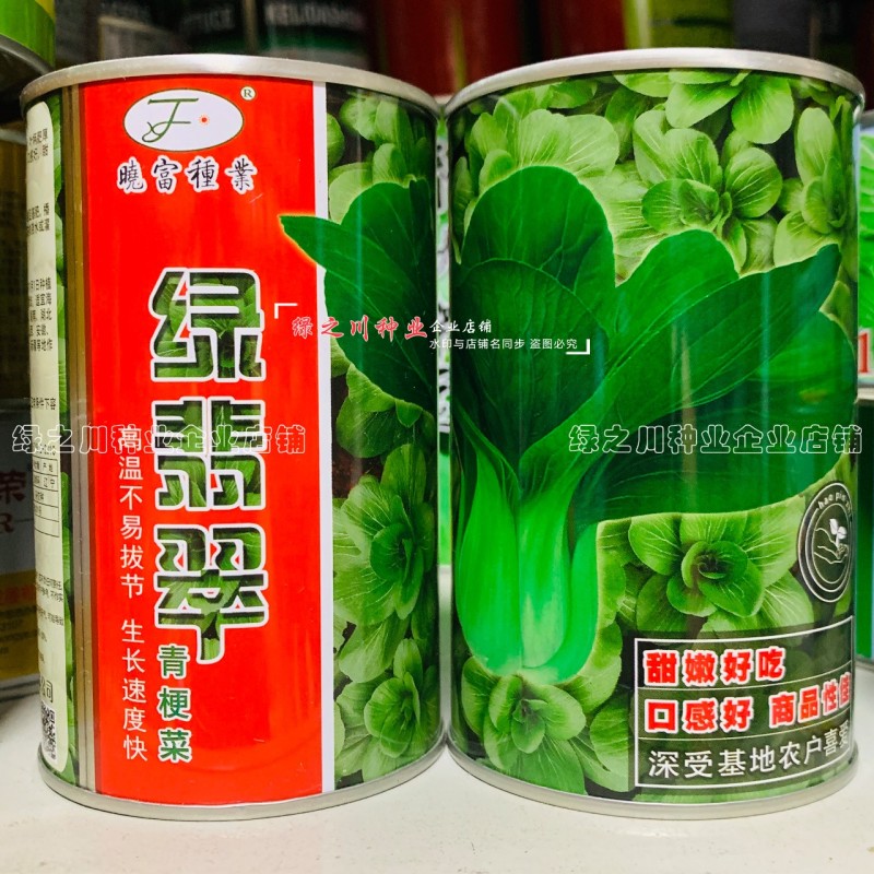绿翡翠青梗菜种籽耐热小青菜种子抗高温高湿小油菜种子甜嫩