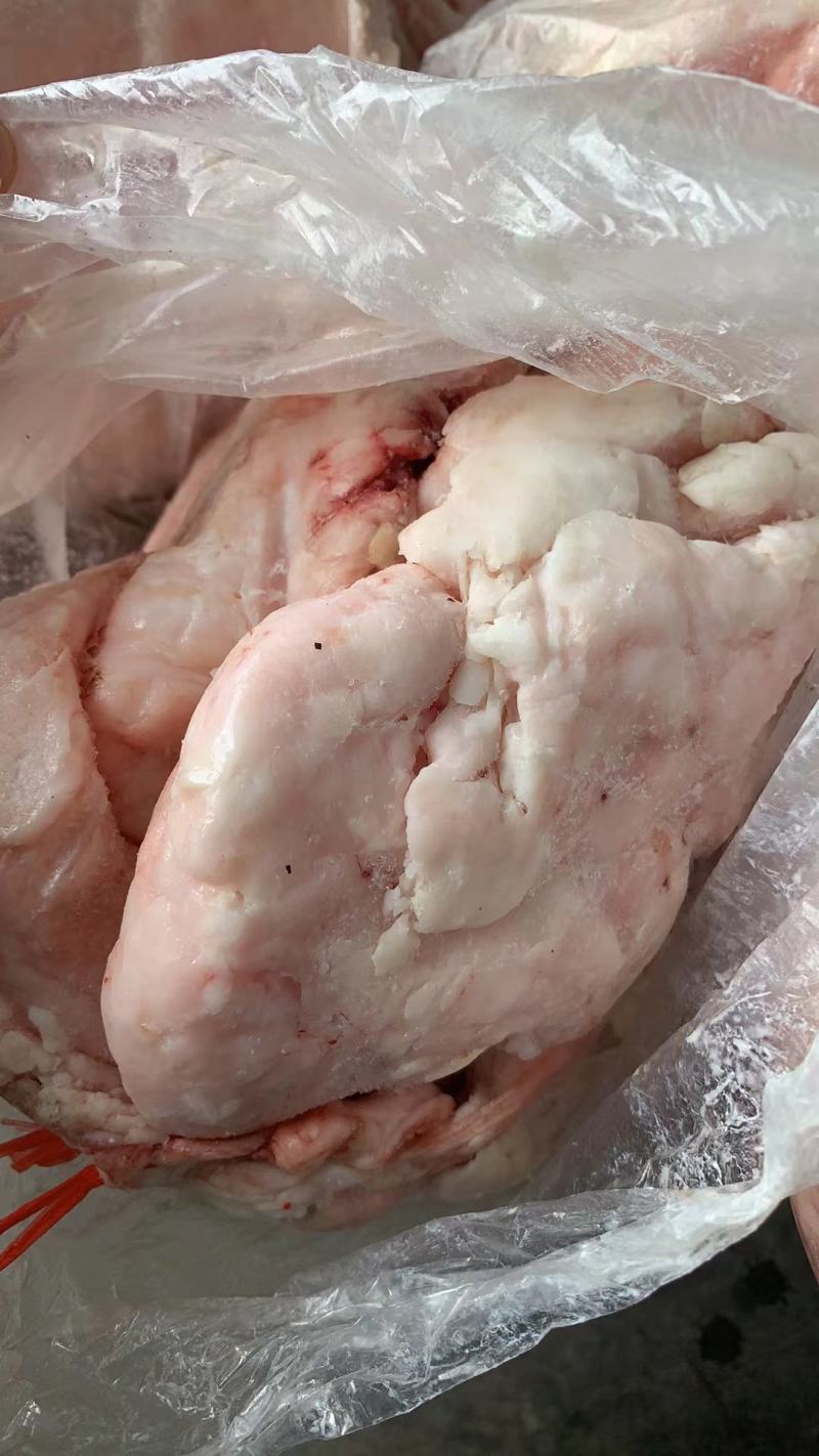 吊挂板油