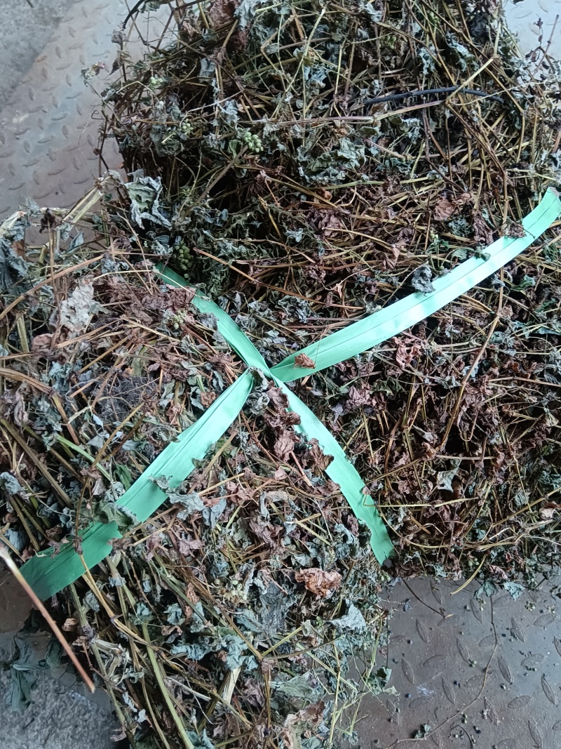 蛇到退杠板归场地直发量大从优