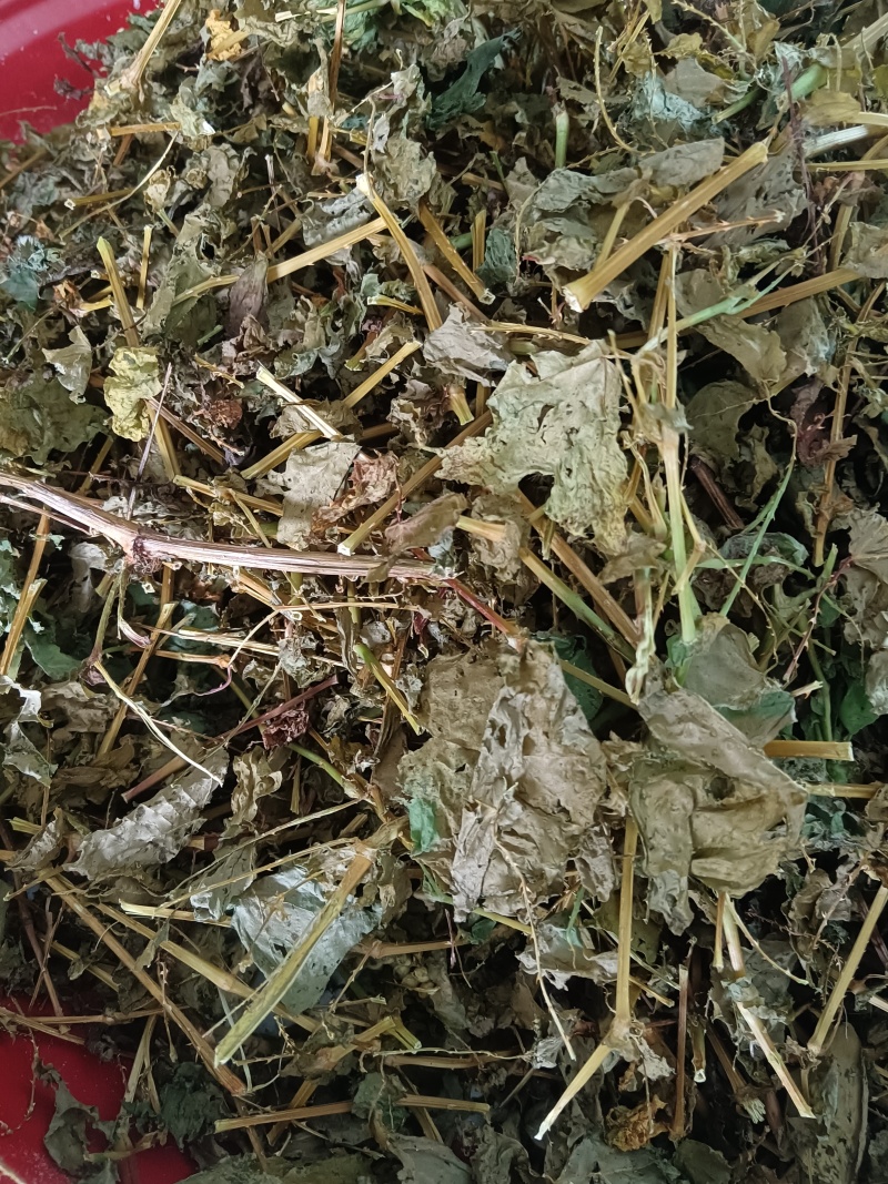 蛇到退杠板归场地直发量大从优