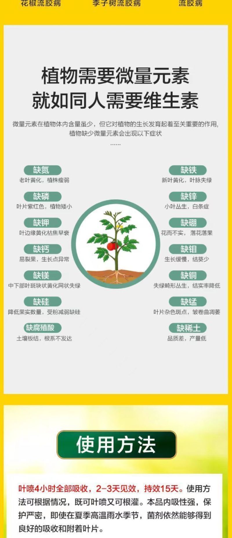 流胶一喷净果树花椒桃树流胶病专用真菌细菌溶解剂微生物菌剂