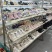 品牌童鞋1018双清货17