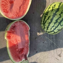 石头缝西瓜🍉个大、红瓤口感甜、西北地区、货源充足、