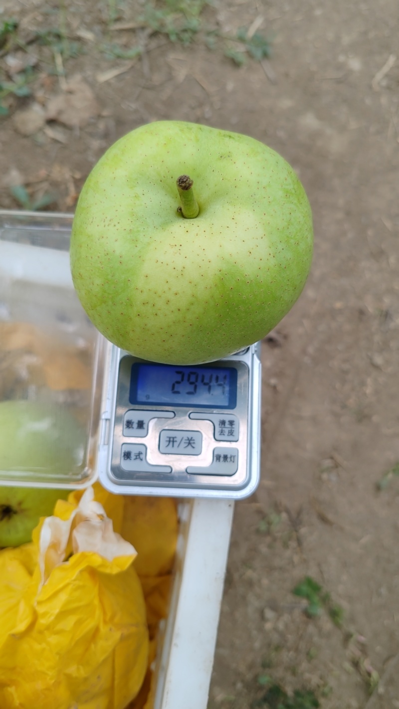 精品绿宝石梨，现已大量上市，香脆多汁，欢迎各位老板前来咨询