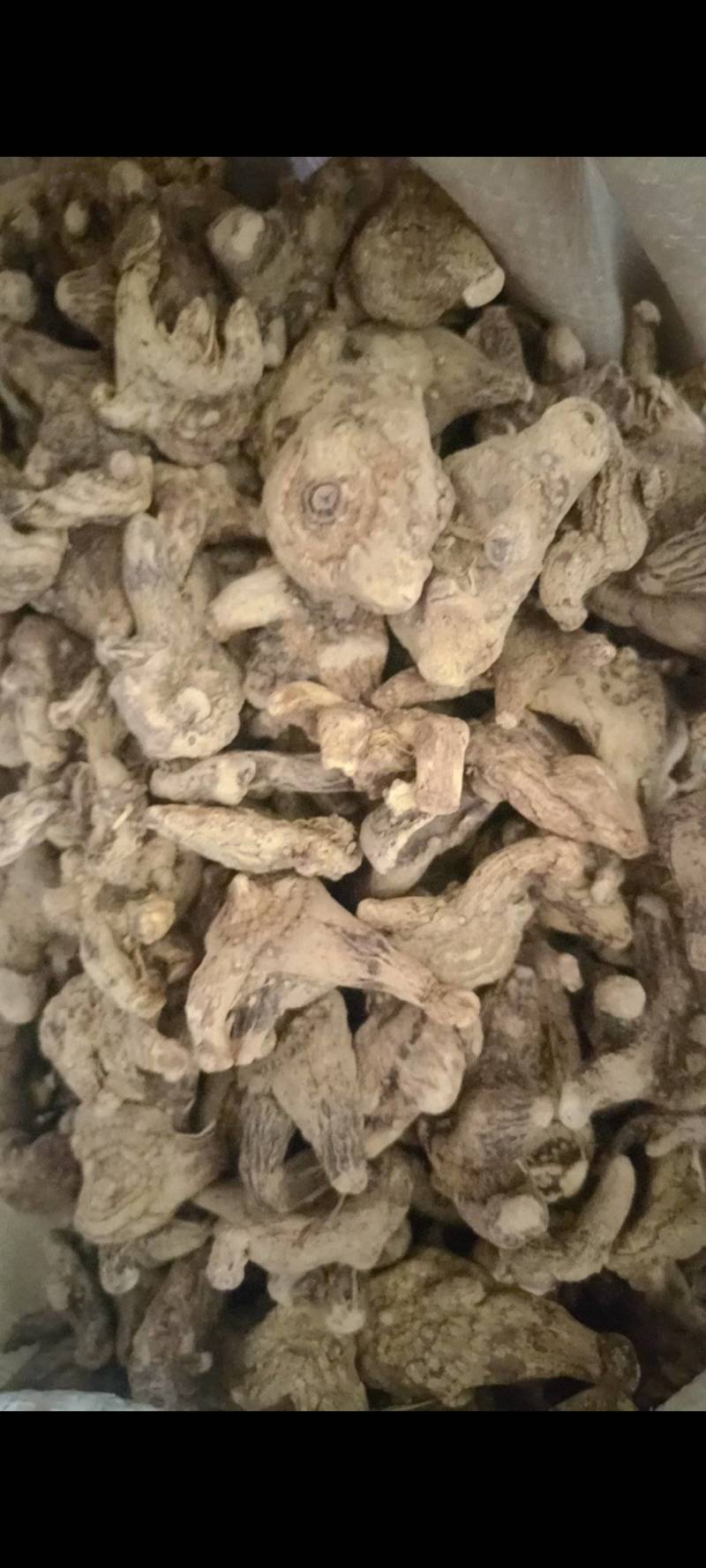 白芨个白芨片多个规格现货供应量大有优惠