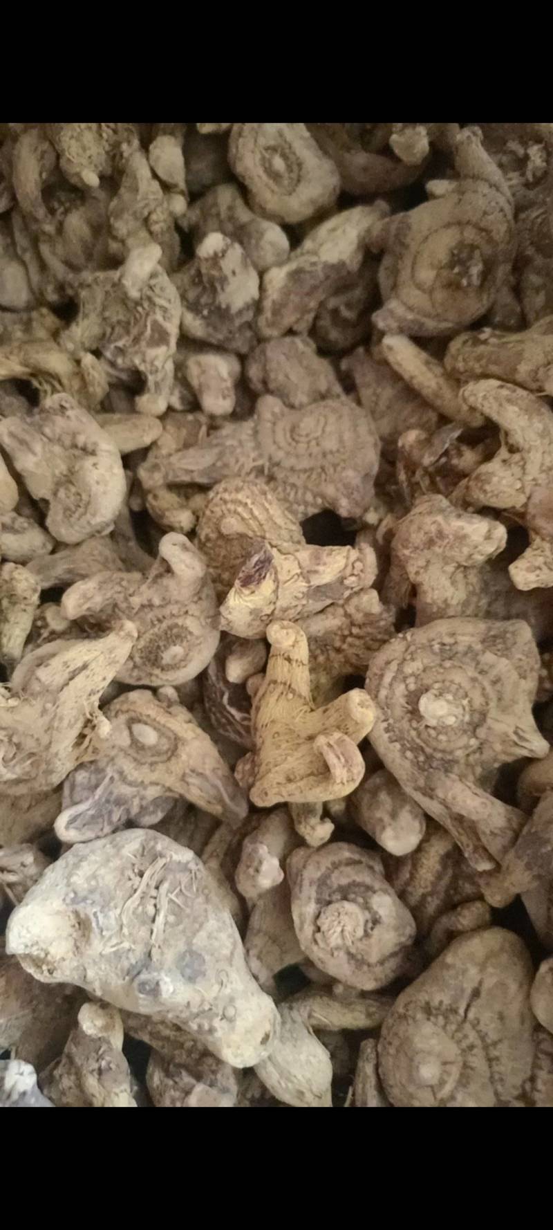 白芨个白芨片多个规格现货供应量大有优惠