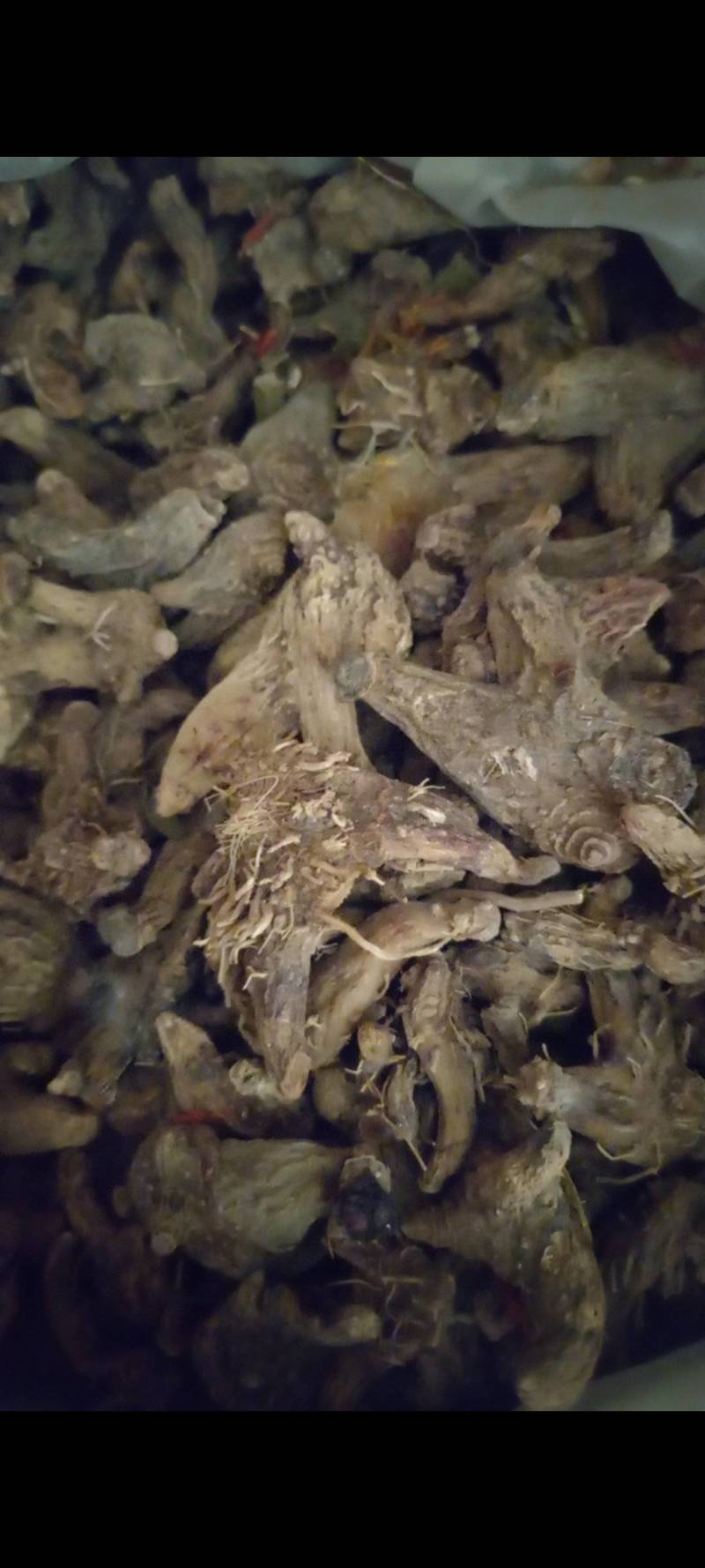 白芨个白芨片多个规格现货供应量大有优惠