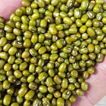 东北大明绿豆，保证无铁豆，皮薄，易熟，口感佳，出芽率高