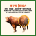 牛饲料牛专用饲料育肥促生长催肥增重快长的肥快速预混料添加