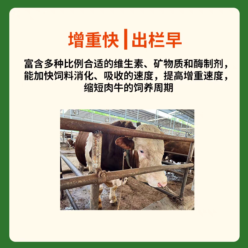 牛饲料牛专用饲料育肥促生长催肥增重快长的肥快速预混料添加