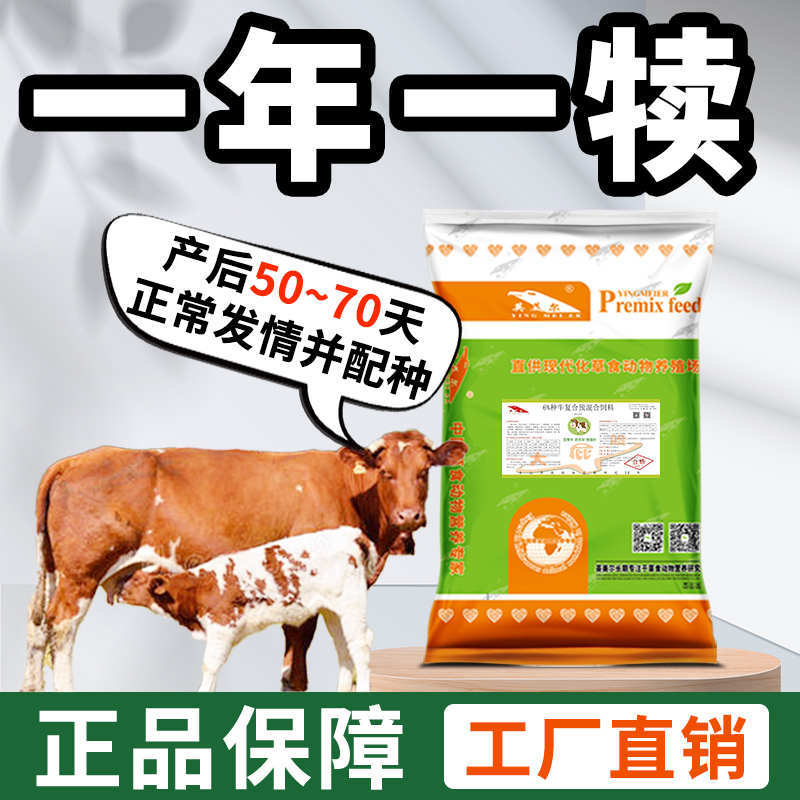 英美尔母牛种牛饲料繁殖专用预混饲料促发情配种怀孕母牛专用