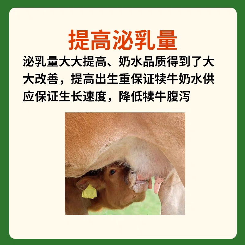 英美尔母牛种牛饲料繁殖专用预混饲料促发情配种怀孕母牛专用