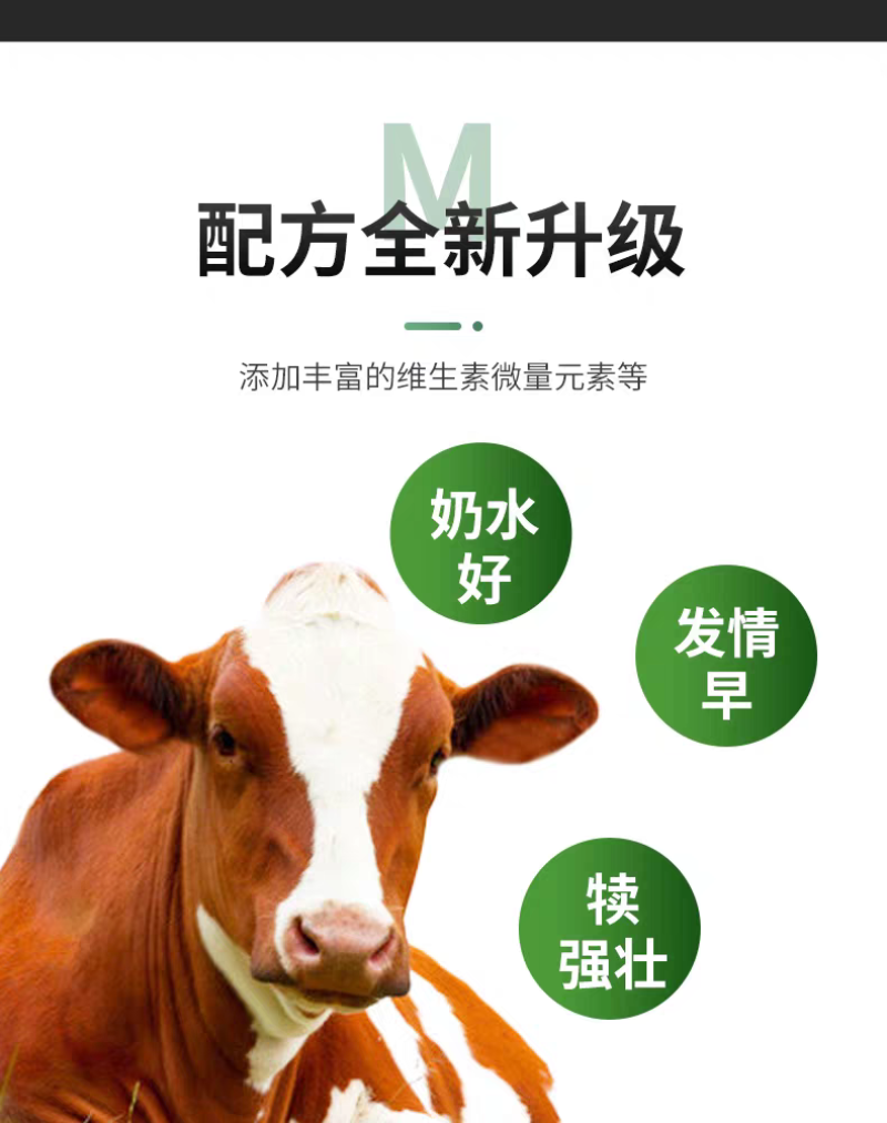 英美尔母牛种牛饲料繁殖专用预混饲料促发情配种怀孕母牛专用