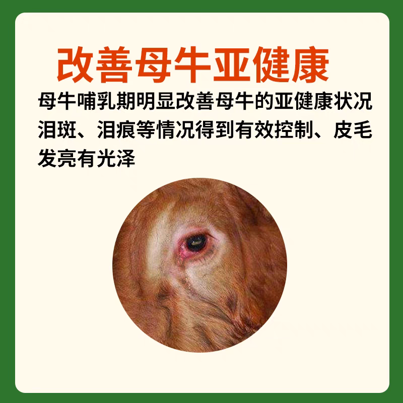 英美尔母牛种牛饲料繁殖专用预混饲料促发情配种怀孕母牛专用