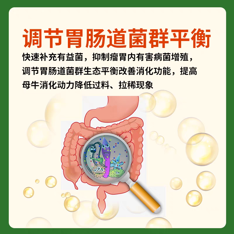 英美尔母牛种牛饲料繁殖专用预混饲料促发情配种怀孕母牛专用