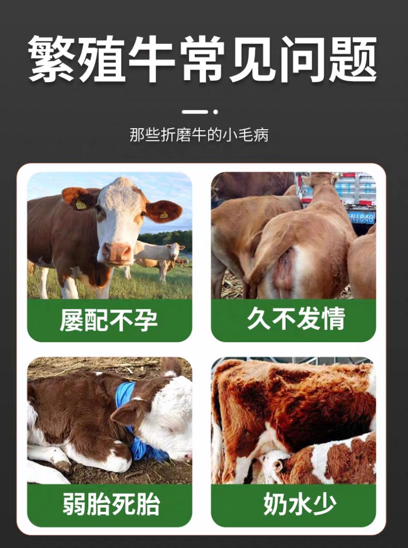 英美尔母牛种牛饲料繁殖专用预混饲料促发情配种怀孕母牛专用
