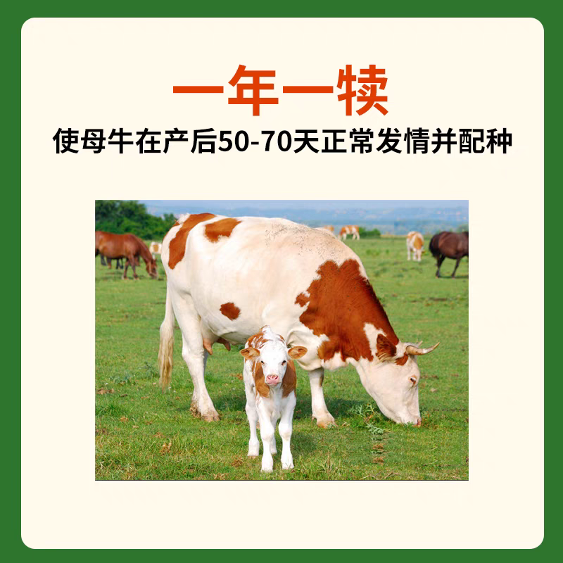英美尔母牛种牛饲料繁殖专用预混饲料促发情配种怀孕母牛专用
