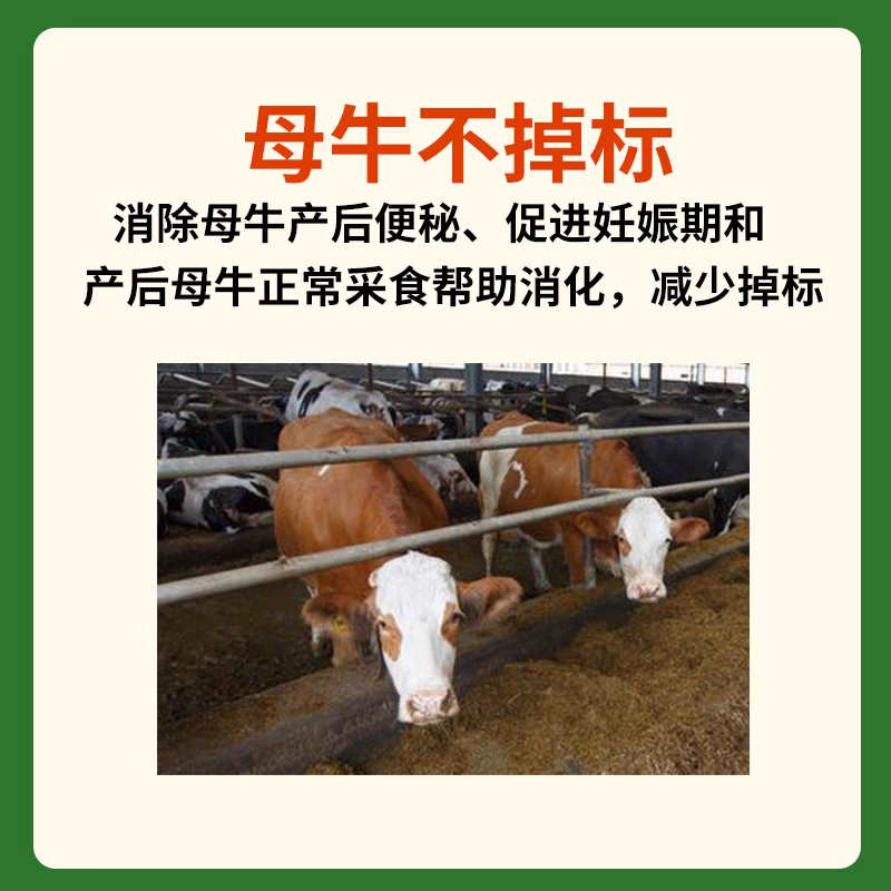 英美尔母牛种牛饲料繁殖专用预混饲料促发情配种怀孕母牛专用