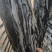 烘干海带，无沙，无黄叶，，高泡发，中药材，化工原料