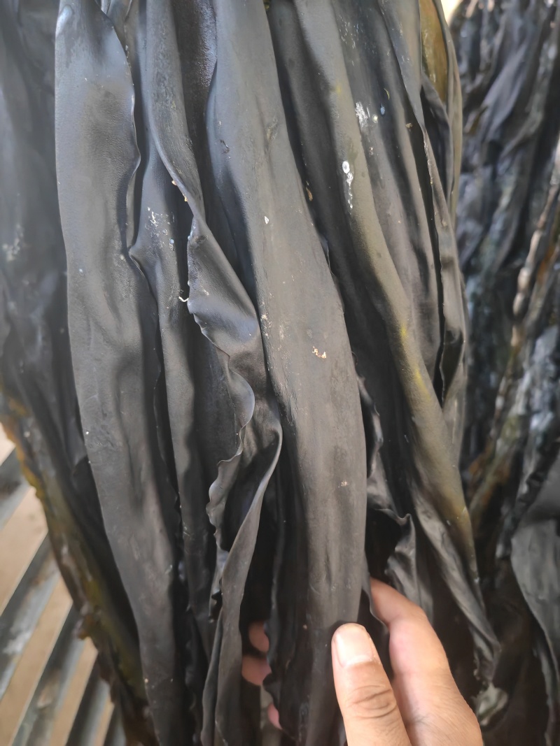 烘干海带，无沙，无黄叶，，高泡发，中药材，化工原料