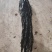 烘干海带，无沙，无黄叶，，高泡发，中药材，化工原料