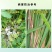 保彪-240克/升噻呋酰胺白腐病纹枯病内吸性农业杀菌剂