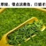 雀舌茶厂家直发保质保量发货全国批发零售